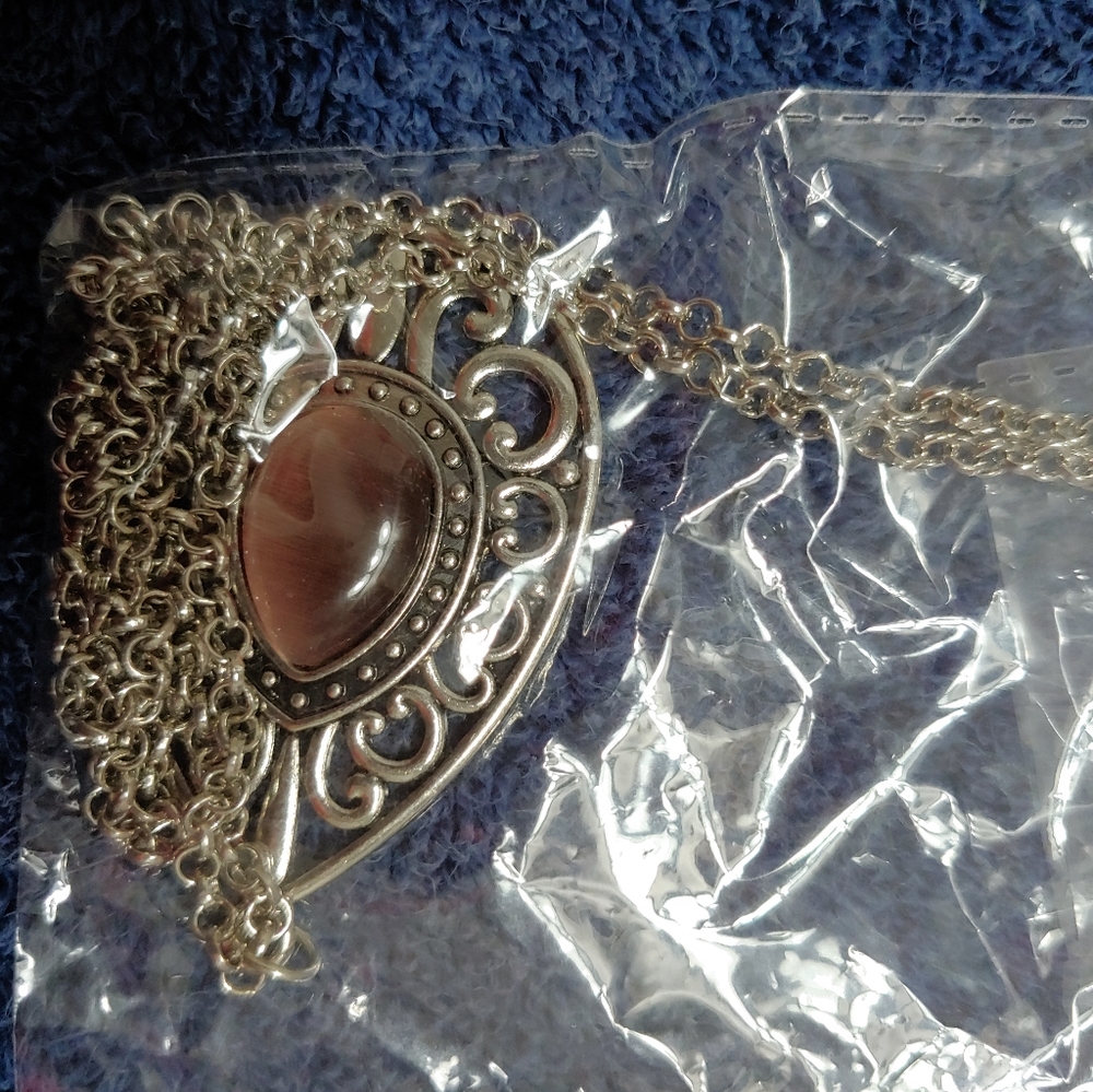 Paparazzi necklace & earrings set